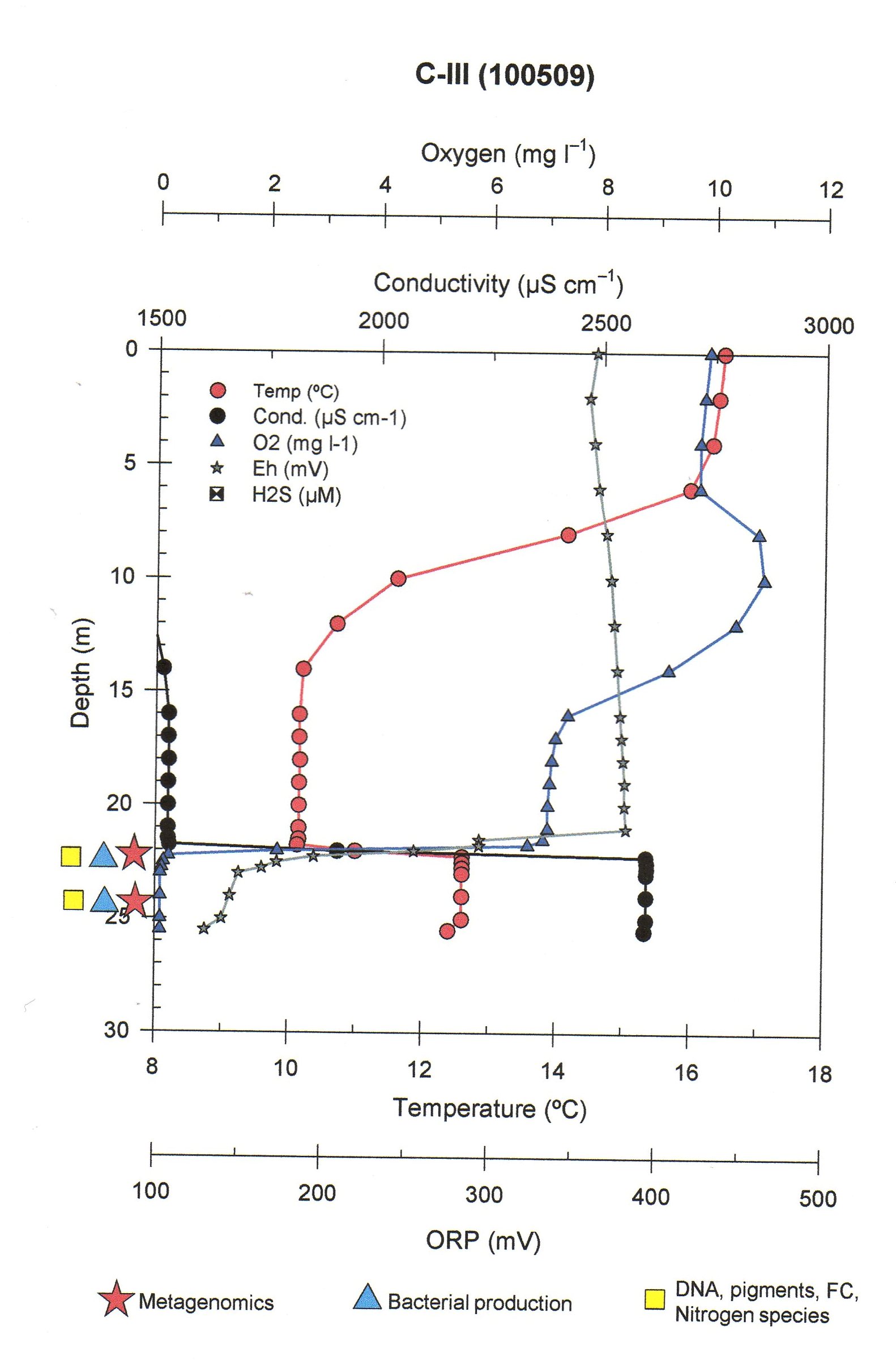 Profile of Basin C-III