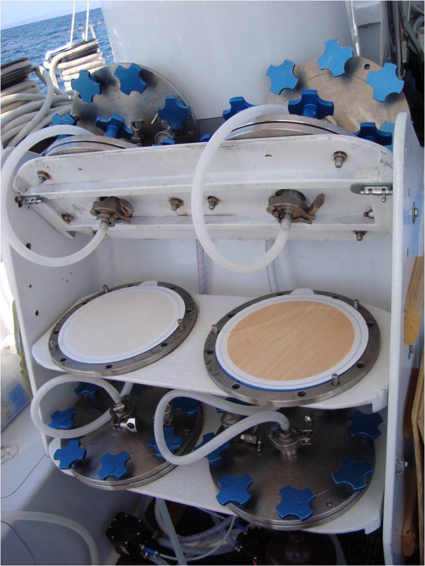 0.8um filters. Left is from the surface sample. Right is from the deep sample