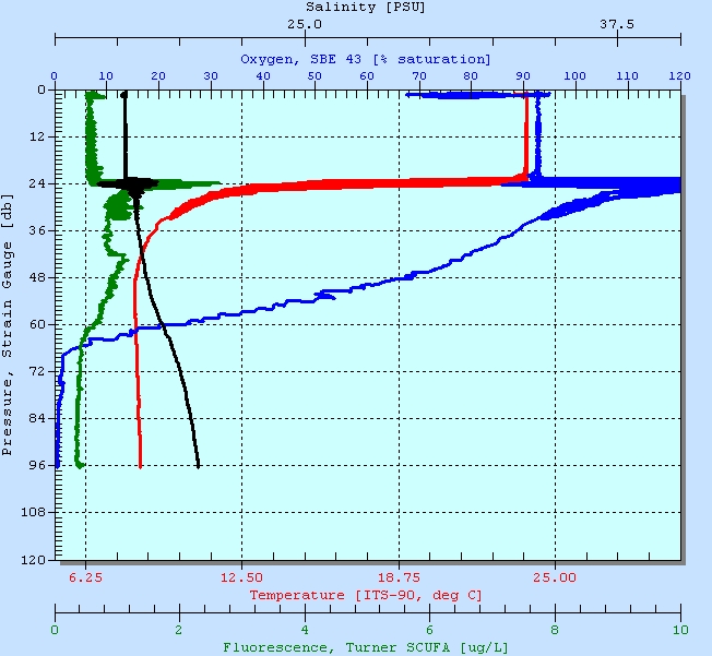 CTD Profile of the Anoxic Black Sea