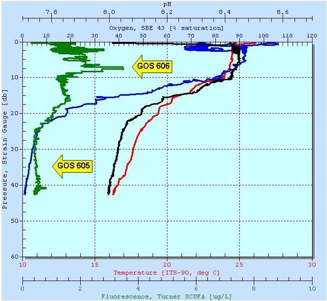 The CTD profile of the water column at Cabo Corrientes showing a surface phytoplankton bloom.