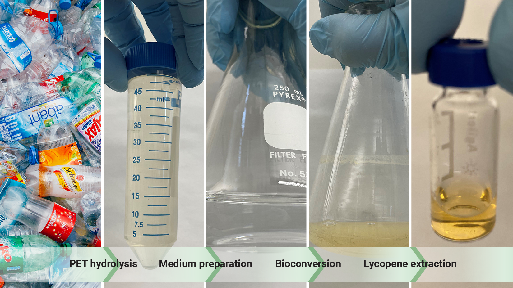 Basic workflow showing converting PET plastic waste into lycopene